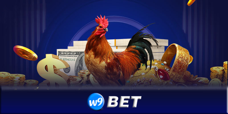 Tương lai của đá gà trực tuyến tại đá gà W9bet