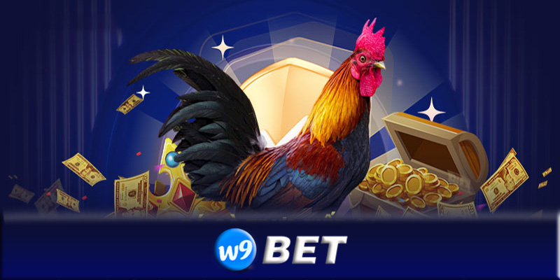 Đá gà W9bet - Sân chơi đá gà trực tuyến uy tín nhất châu Á